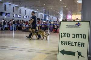 A security officer leads a dog as they patrol the hall past a sign directing passengers to a shelter of Ben Gurion International airport, near the Mediterranean Israeli coastal city of Tel Aviv on August 21, 2014, following a warning issued by Hamas's armed wing that they will target the airport from 6 am (0300 GMT) in a bid to disrupt air traffic. Ofer Lefler, spokesman for the Israel Airports Authority (IAA), told AFP flights had been disrupted for a brief 10 minute pause but aside from that, everything was operating normally. AFP PHOTO / JACK GUEZ (Photo credit should read JACK GUEZ/AFP/Getty Images)